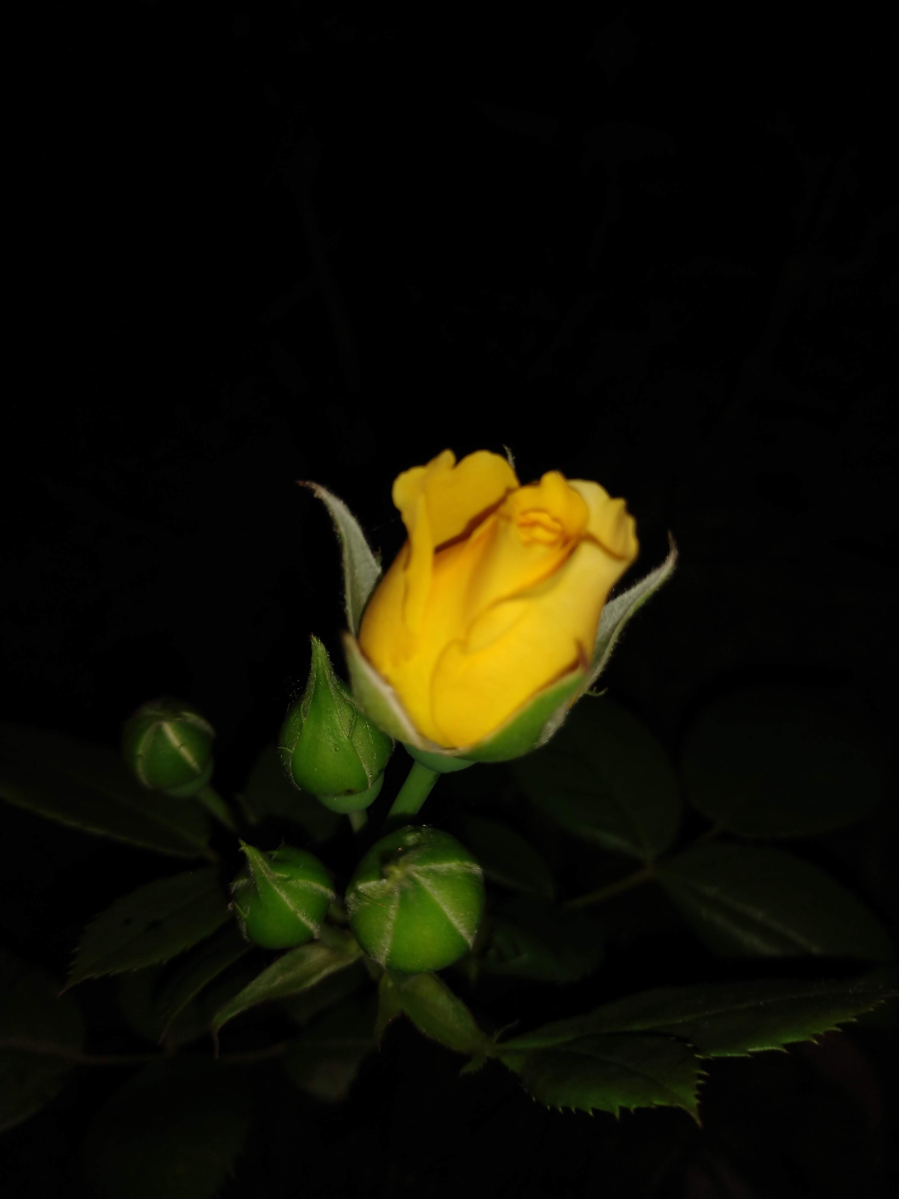 img_20190712_212526001